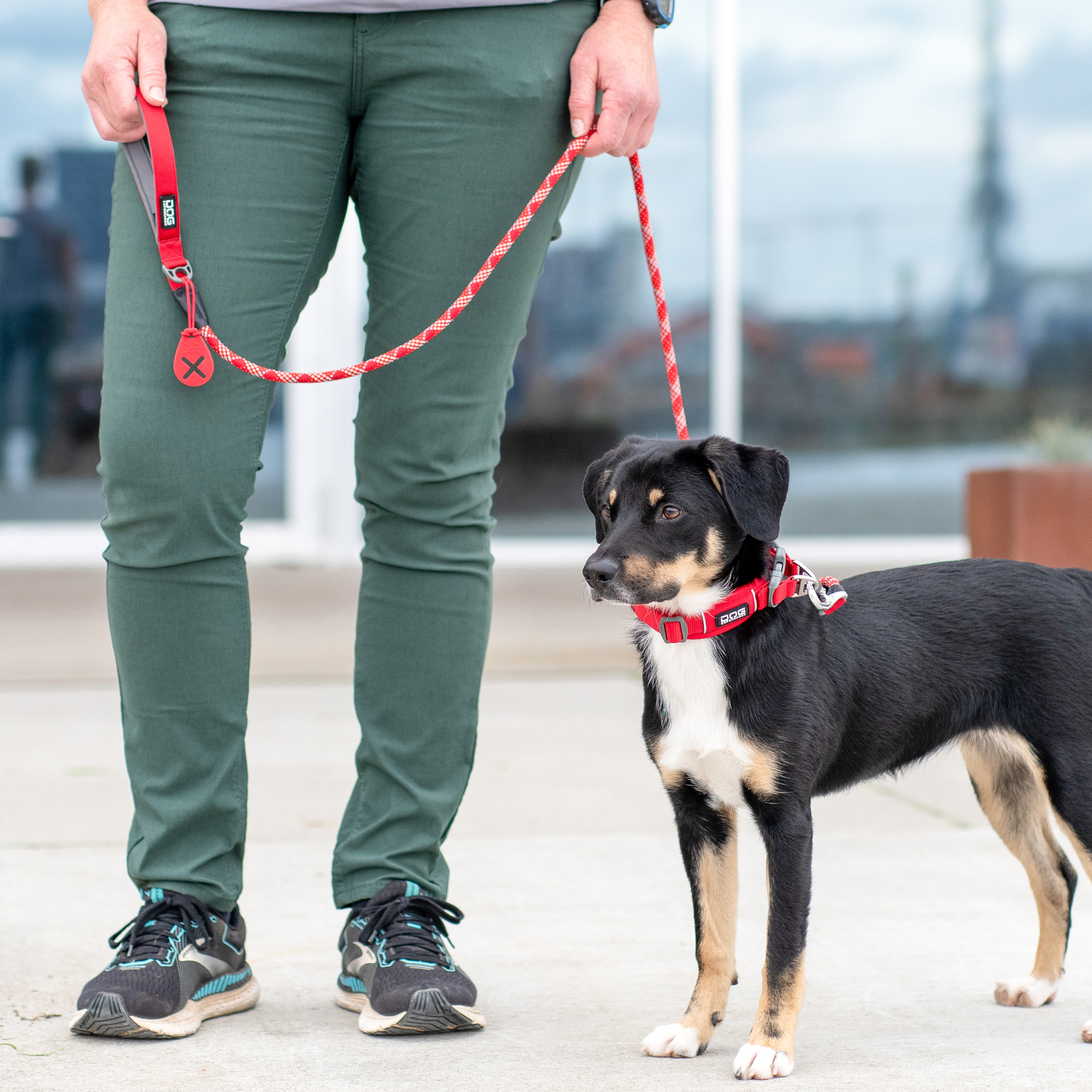 Flexy™ Poop Bag Holder