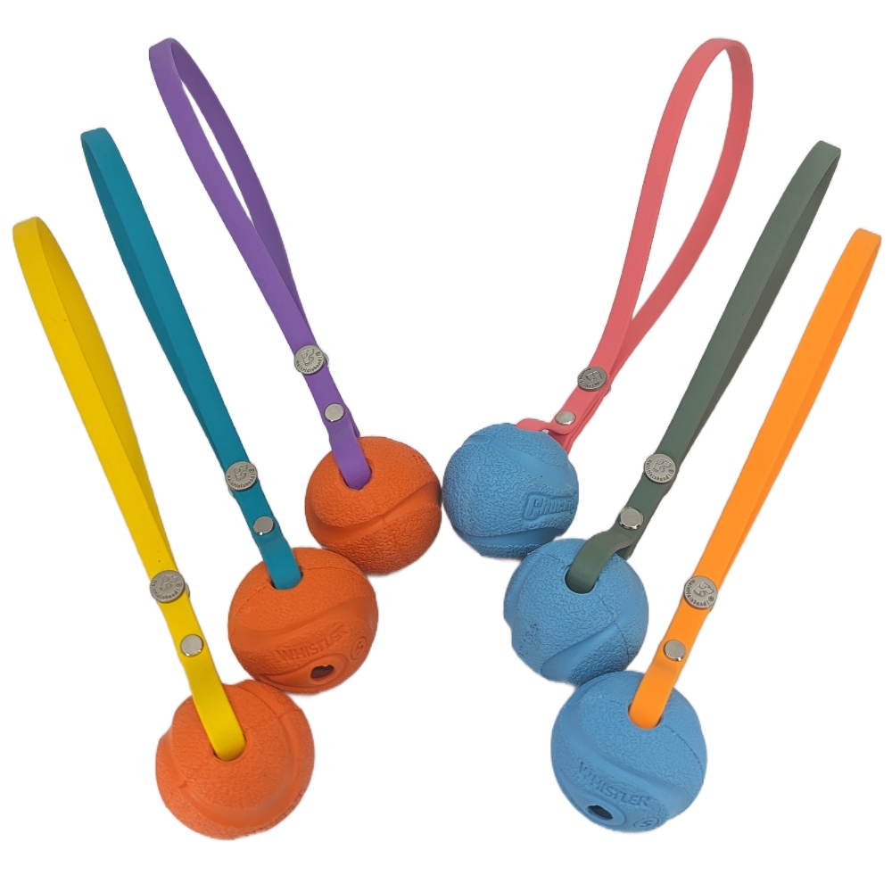 Chuckit Ball mit BioThane Wurfschlaufe