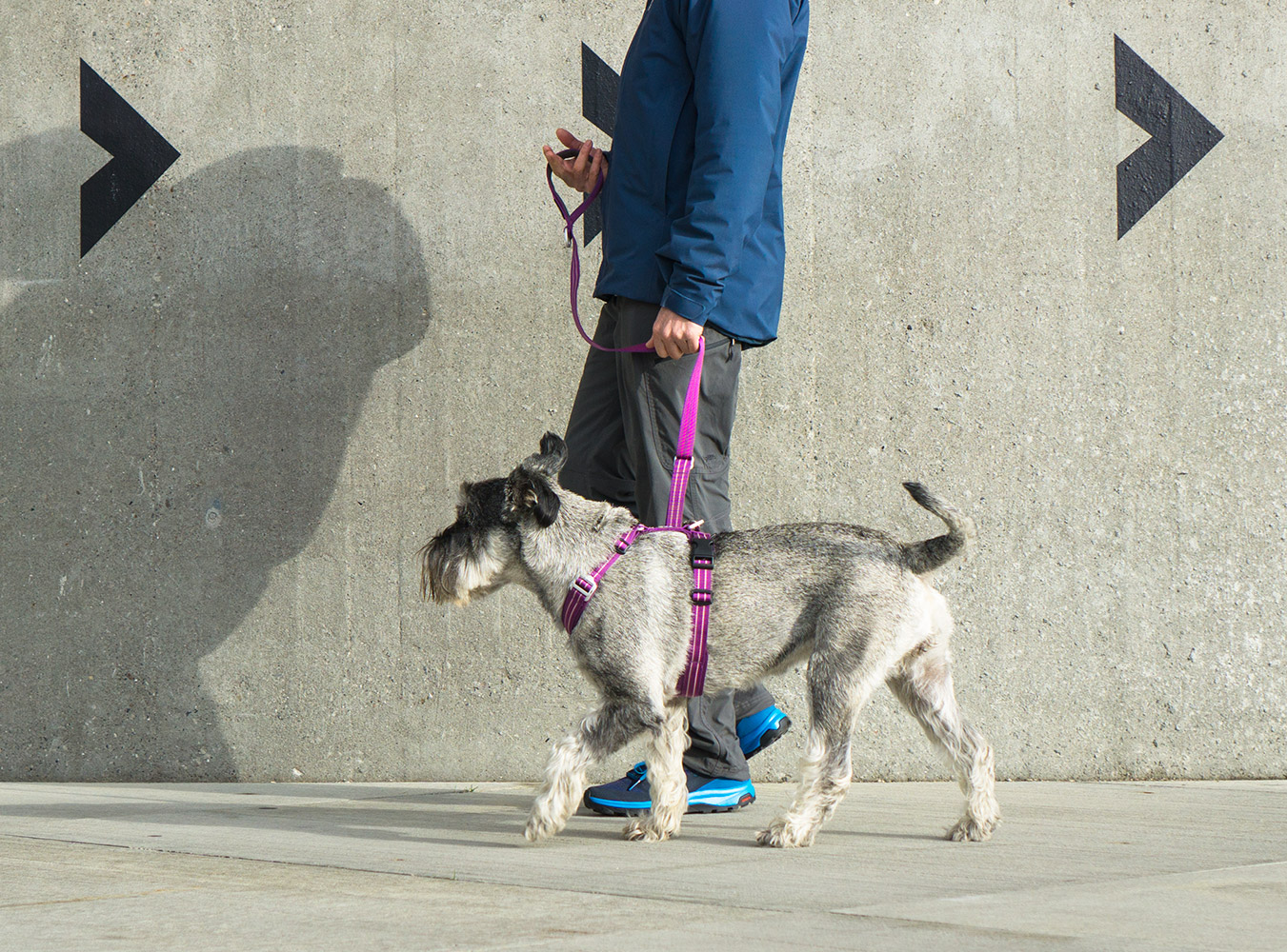 Comfort Walk Air Harness Purple Passion XL (Dog Copenhagen)