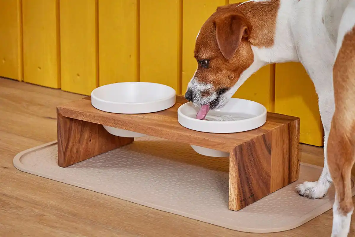 SALE Gohan Doppelnapf Gr. XS