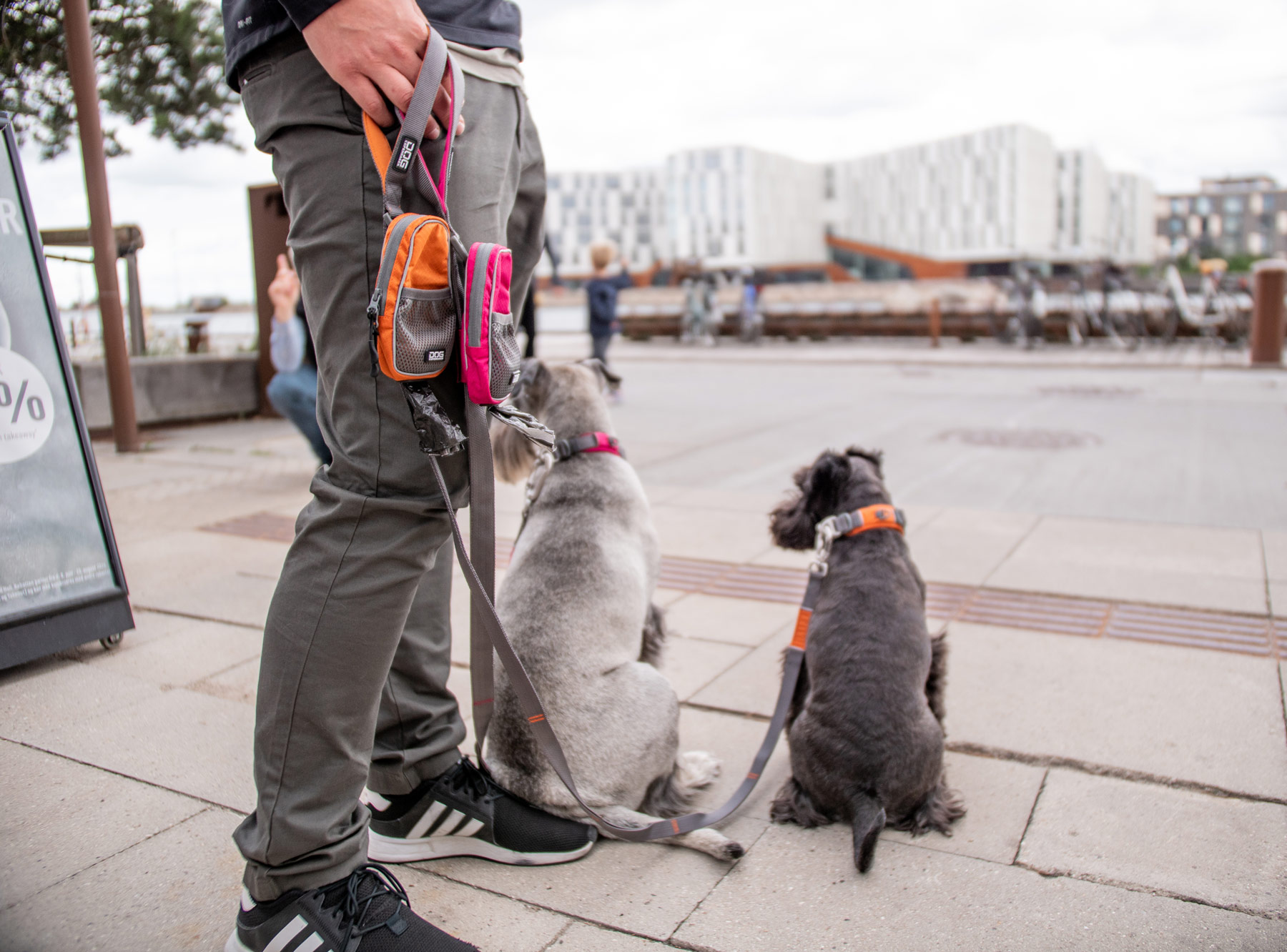 V2 Urban Trail Leash