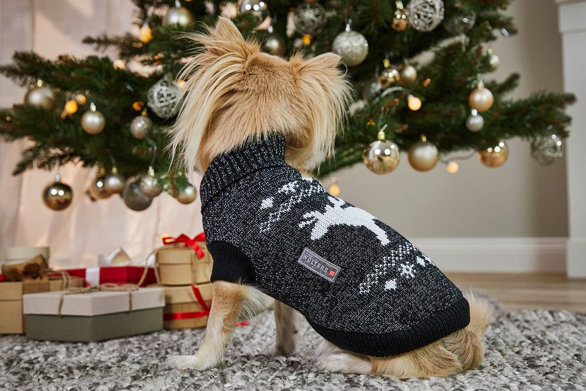 Strickpullover Elch mit Glitzer