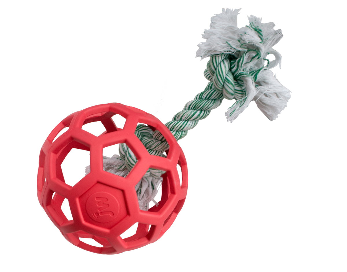 JW Hol-EE Roller Gitterball