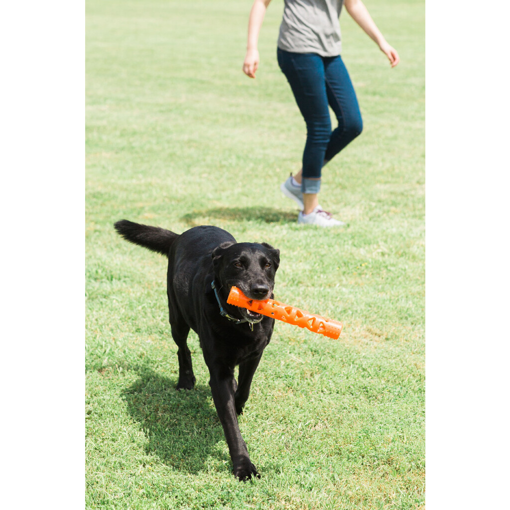 Chuckit Air Fetch Stick