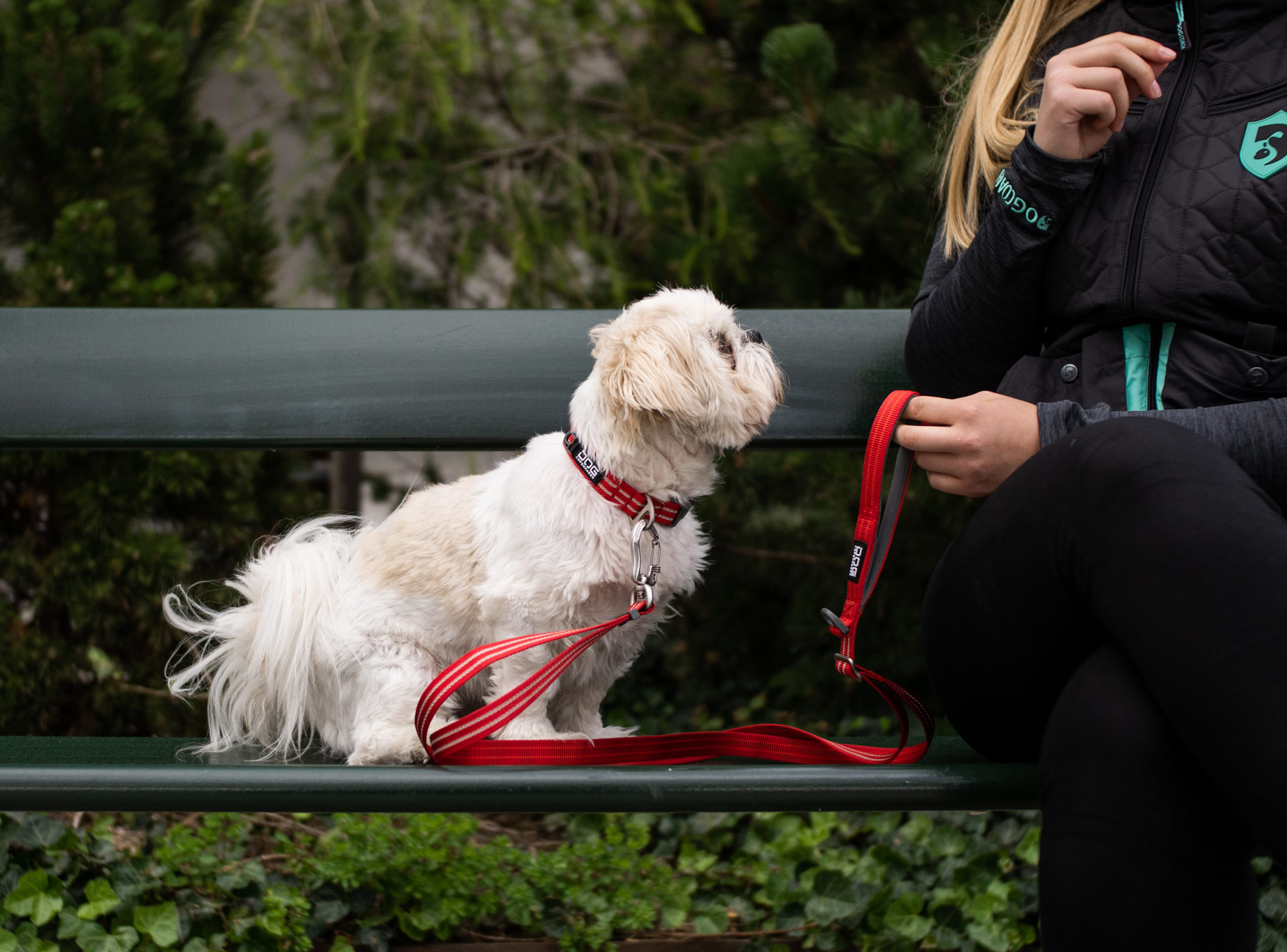 UF-Leash-1-Outdoor-P1022182 SALE V2 Freestyle Leash